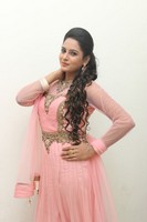 Himaja Photos at Shivam Audio Release